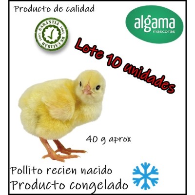 Pollitos (Producto congelado)